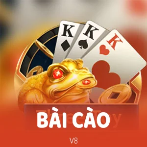 BÀI CÀO